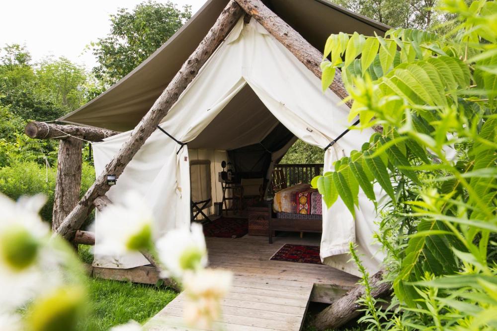 King Tent  interior